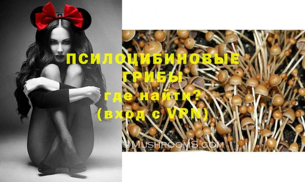 дмт Абаза